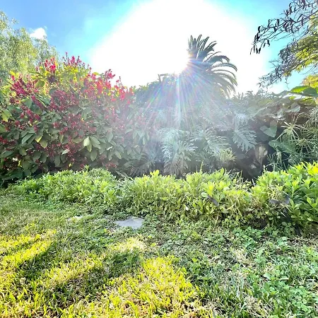 Single Studio E With Wifi, Balcony, Swimming Pools Apartman