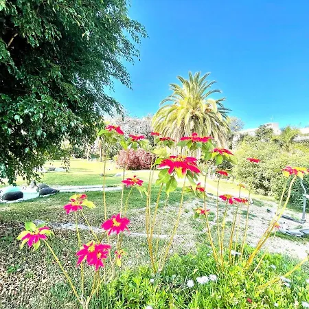 Apartman Single Studio E With Wifi, Balcony, Swimming Pools *