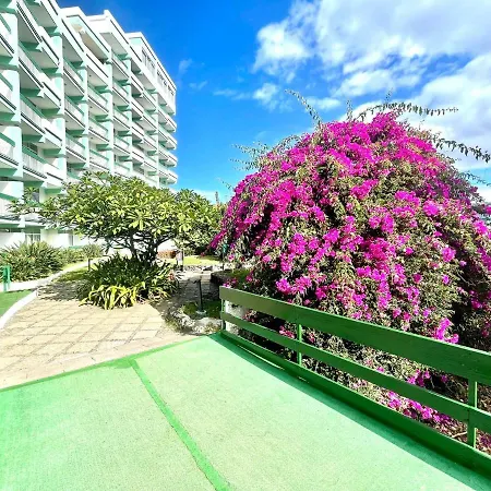 Single Studio E With Wifi, Balcony, Swimming Pools